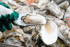 바다향 천북굴단지