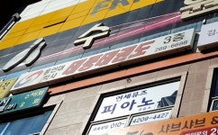 용인대 박사 태풍태권도