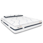 딜란디스코리아