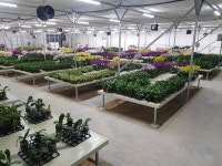 선유플라워그라운드