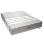 딜란디스코리아