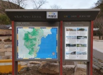 늘푸른광고산업