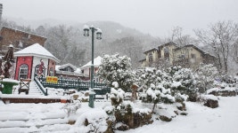 추월산 별무리