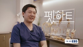 오아시스정형외과신경외과동물병원