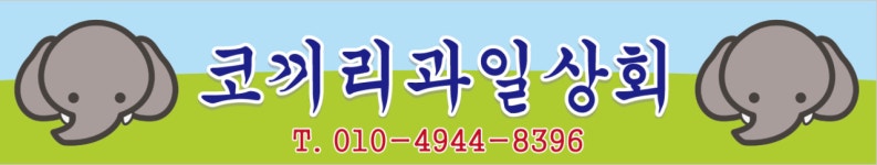 코끼리과일상회