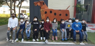 한국반려동물문화교실협회