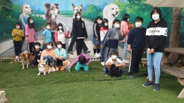 한국반려동물문화교실협회