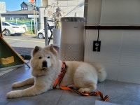 뷰티몽&플레이몽