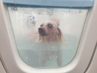 뷰티몽&플레이몽