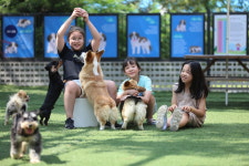 한국반려동물문화교실협회