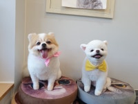 뷰티몽&플레이몽