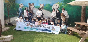 한국반려동물문화교실협회
