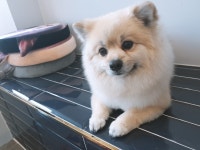 뷰티몽&플레이몽