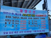 팔팔수산