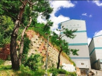 감자나라영농조합