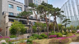 위례문부동산공인중개사사무소