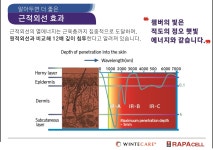 라파셀