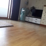 오이도일진민박