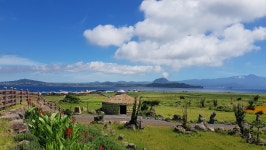 하나투어 파고다관광여행사