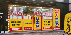 뉴양지부동산중개사무소