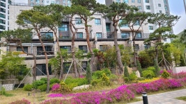 위례문부동산공인중개사사무소