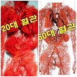 쑥뜸명가 울산점