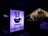 하눌구르미