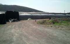 선영이네달팽이농장