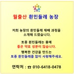 흰민들레 농장