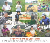 신선하데이