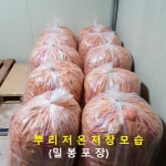 흰민들레 농장