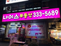 나이스공인중개사사무소