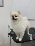모코모코