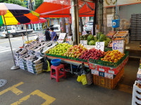 상동청과