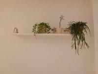 광화문숲정신건강의학과의원