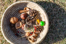 경기남부생태교육연구소