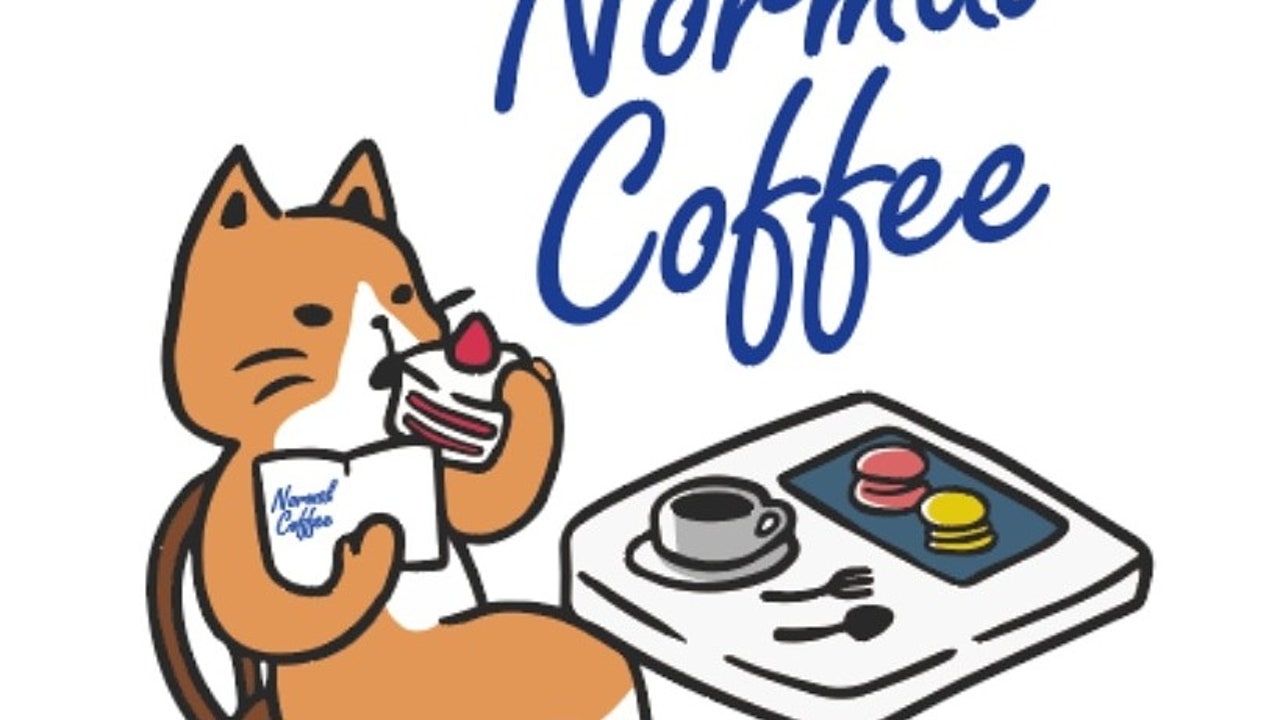 노멀커피