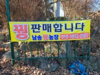 남송꿩농장