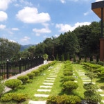 펫노블레스