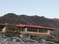 그린지붕
