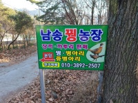 남송꿩농장