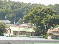 봉암성지 신자촌