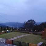 펫노블레스