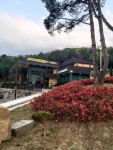펫노블레스