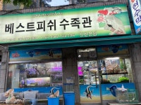 베스트피쉬수족관 인천점