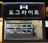 도그라이프 대구강아지분양