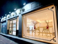 수원고양이분양 고사남 본점