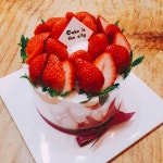 케익인더씨티