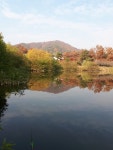 시냇가푸른나무