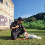 힐링독반려견센터